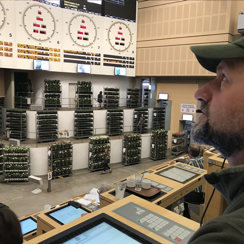 Pasmans Bloemen koopt verse bloemen rechtstreeks van de veiling