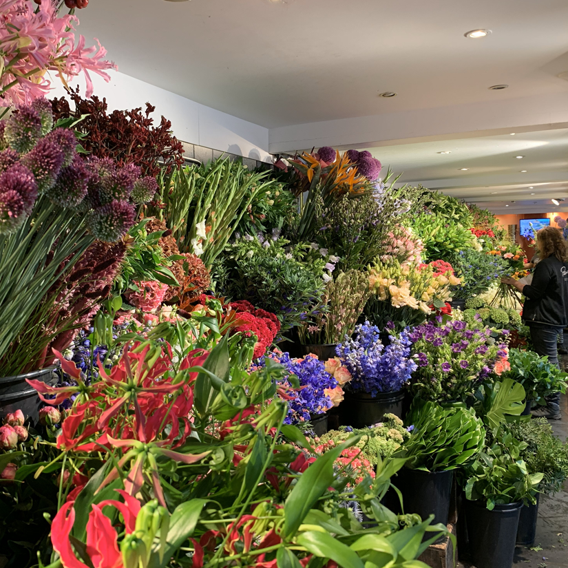 Bloemen wand bij Pasmansbloemen een wand vol verse duurzame bloemen.