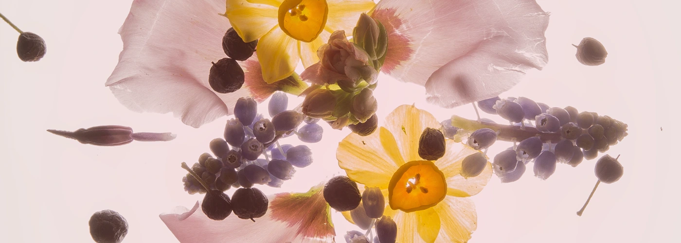 Online bloemen bestellen bij Pasmans Bloemen Eindhoven